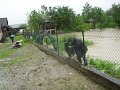 Povodne 203-2010   42